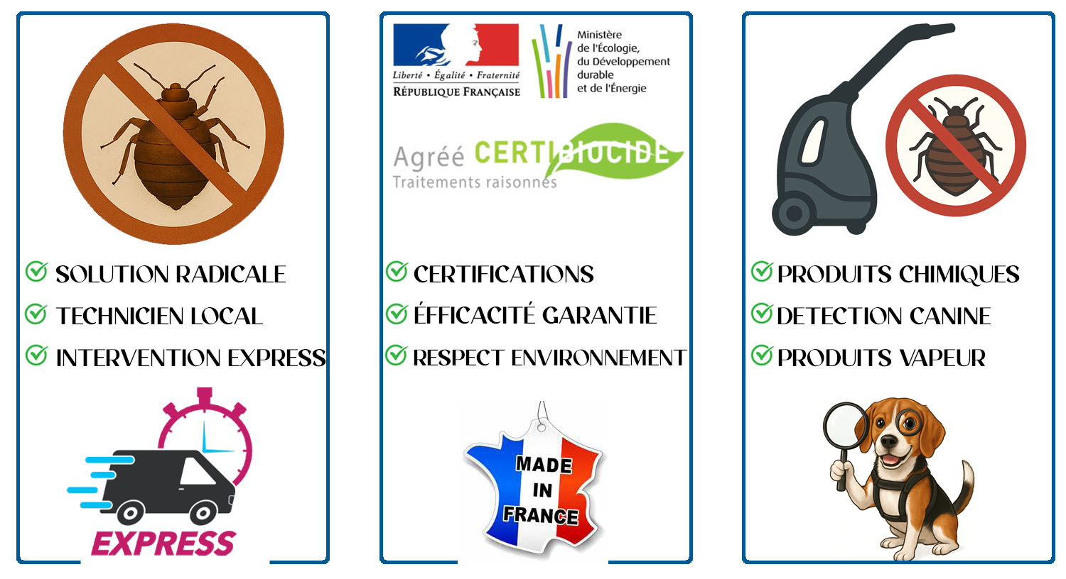 Punaises de Lit Vincennes