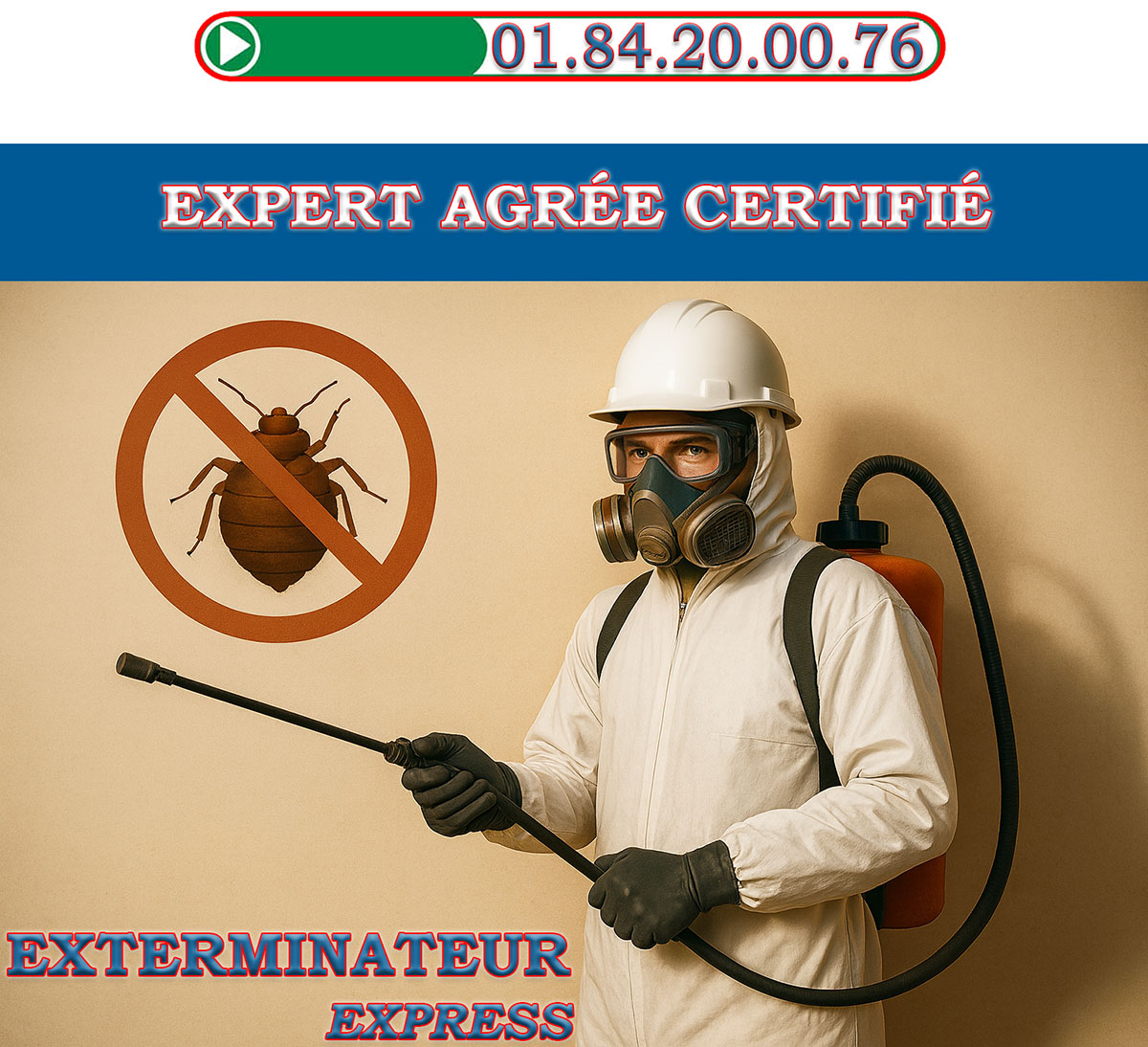 Punaises de Lit Vincennes